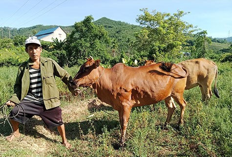 bo-mac-viem-da-noi-cuc