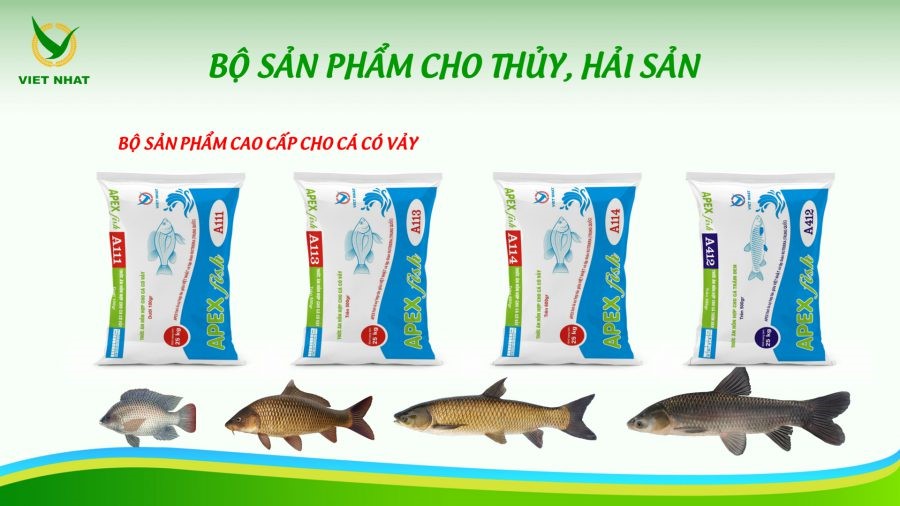 bo-sp-TATS-Viet-Nhat-Group-e1638171555347
