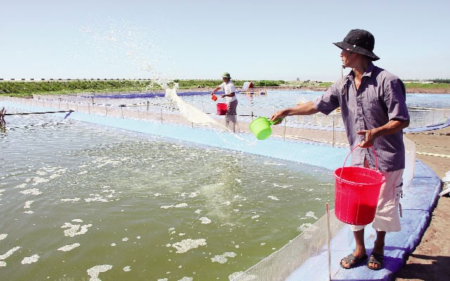 bo-sung-chat-khoang-cho-tom