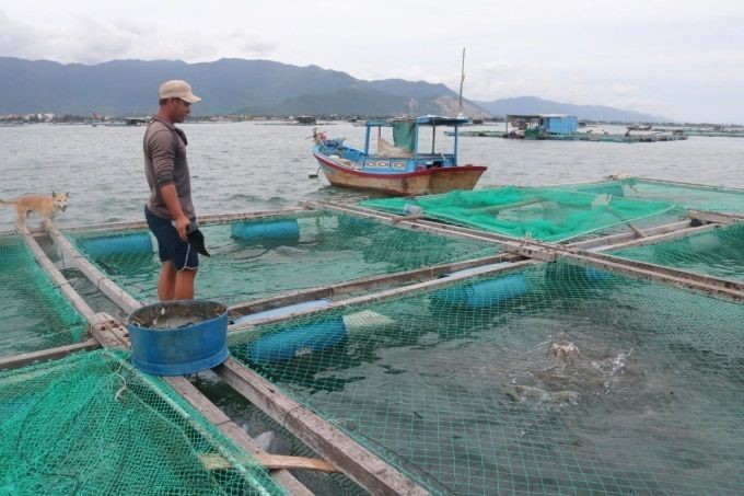 bo-sung-che-pham-sinh-hoc