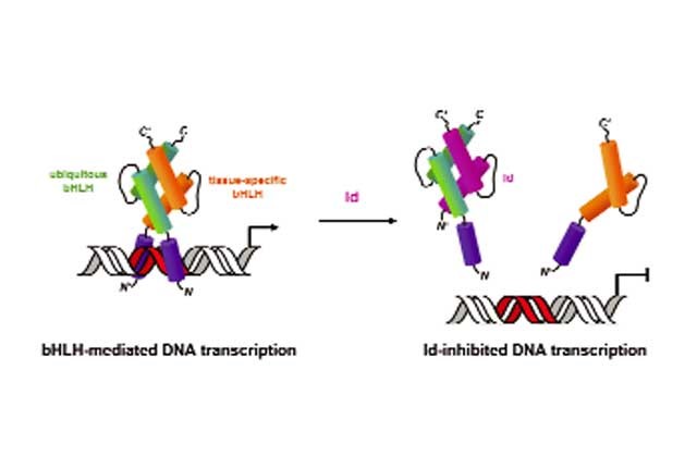 bot-vi-khuan-thay-the-bot-ca-01