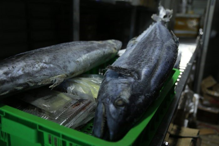 ca-nam-ly-trong-kho-lanh-e1632121722293