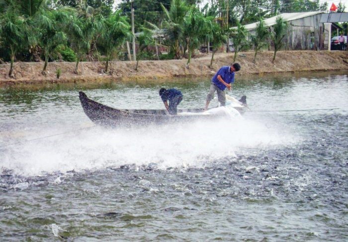 ca-tra-o-mon-e1628303079321