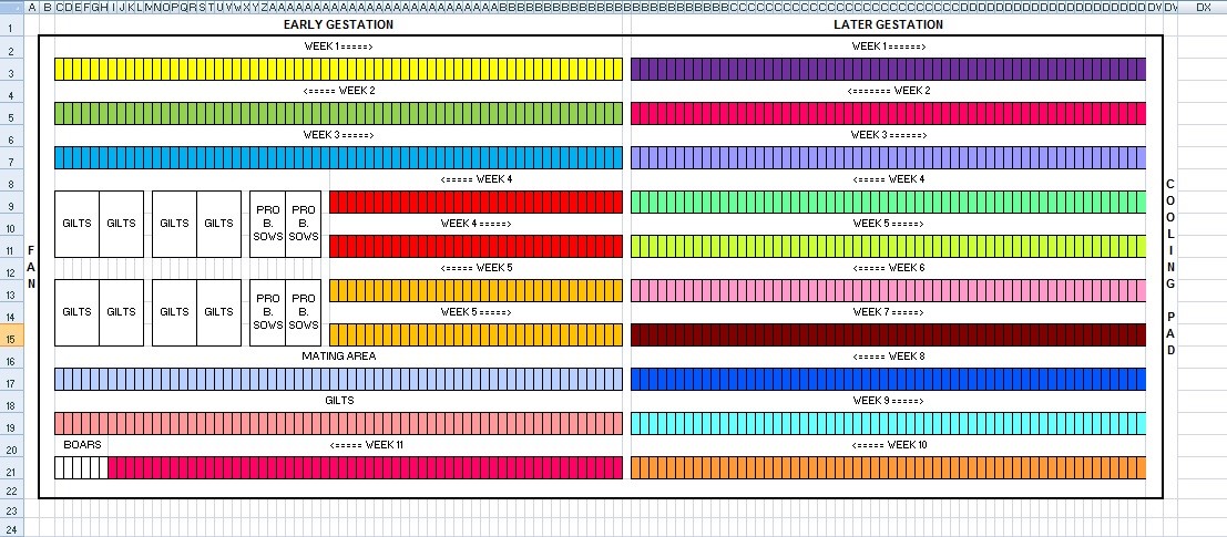 cach-thiet-ke-nha-mang-thai