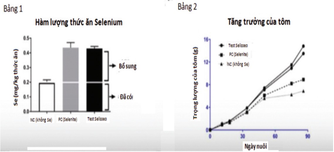 cai thien tang truong cho tom 02