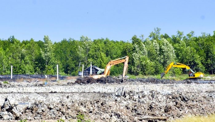 cai-tao-dat-rung-de-nuoi-tom-e1649313958912