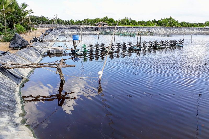 cap-ma-so-co-so-nuoi-tom-e1640923970470