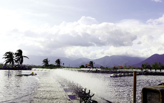 cap-nuoc-ao-nuoi-tom