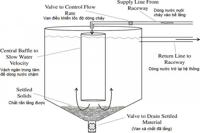 cau-tao-buong-lang-e1646129688331