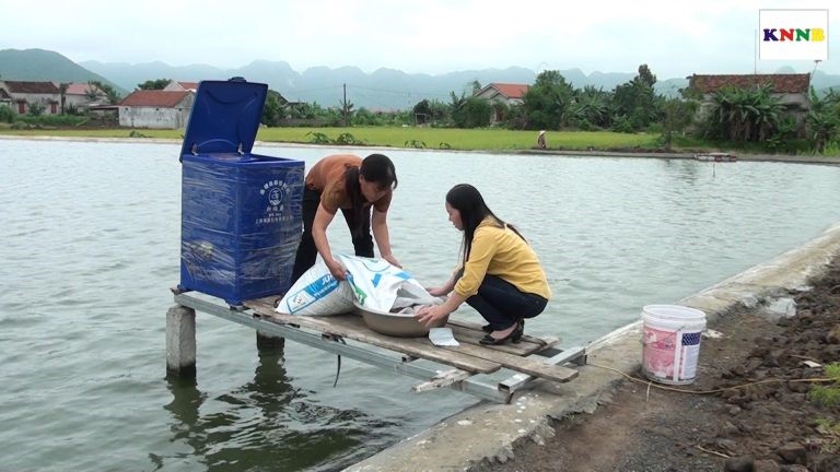 chamsocconnuoithuysan.mp4_snapshot_02.10_2019.06.19_13.40.47-768x432