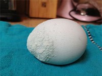 chan-doan-benh-qua-vo-trung-4