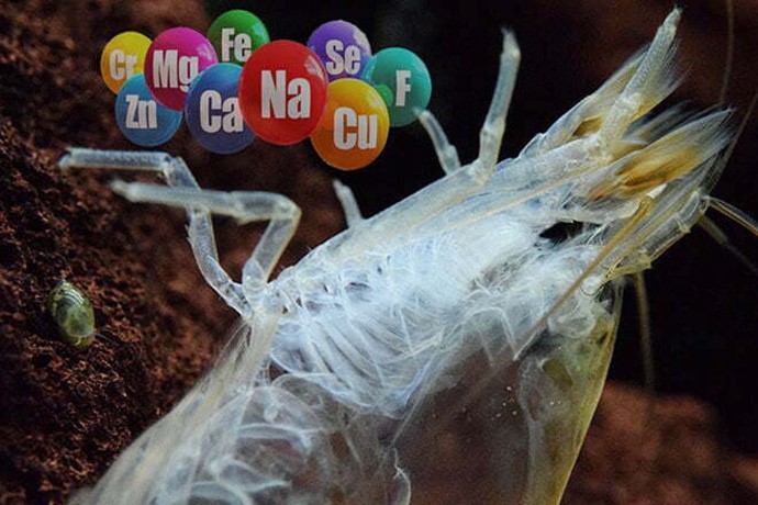 chat-khoang-dung-trong-nuoi-tom