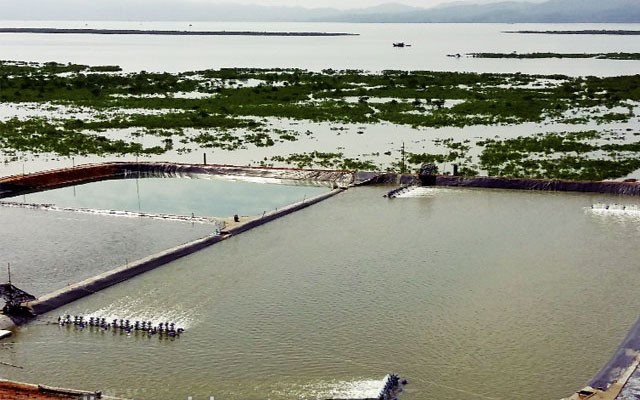 chat-luong-nuoc-ao-nuoi-tom