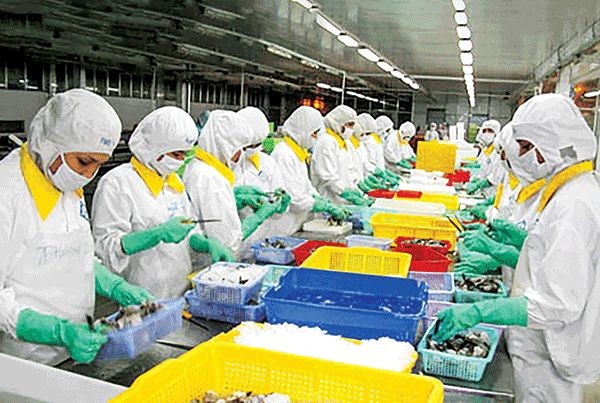 che-bien-tom-xuat-khau-cty-saota