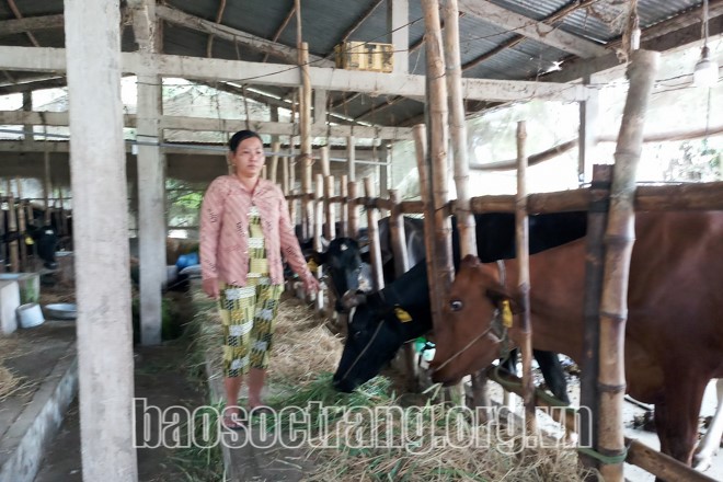 chi-mong-phuong-1 (2)