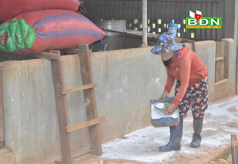 chong-dich-ta-heo-dak-nong-