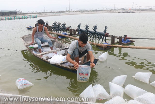 chu-dong-phong-benh-vu-moi-02