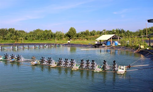 chu-dong-phong-chong-dich