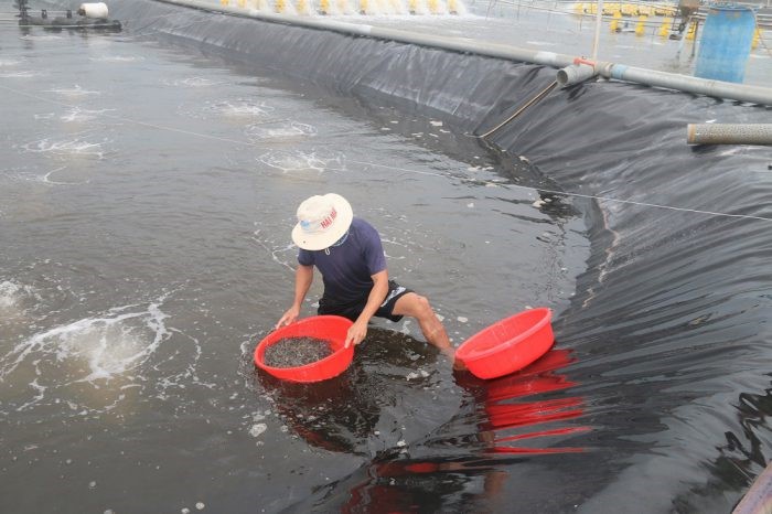 chu-trang-trai-tom-o-Long-Dien-e1637210006598