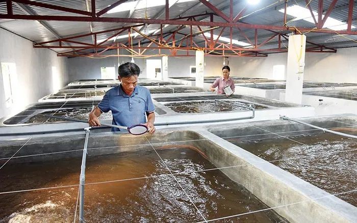 co-so-nuoi-tom-tai-nam-dinh