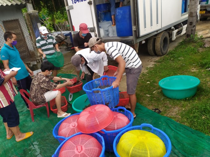 cong-nghe-nuoi-tien-tien (1)