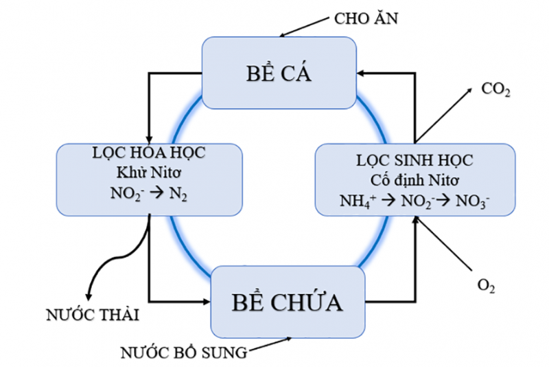 cong-nghe-ras-e1640579584260