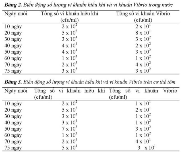 cong-nghe-sieu-am-ket-hop-nano-04