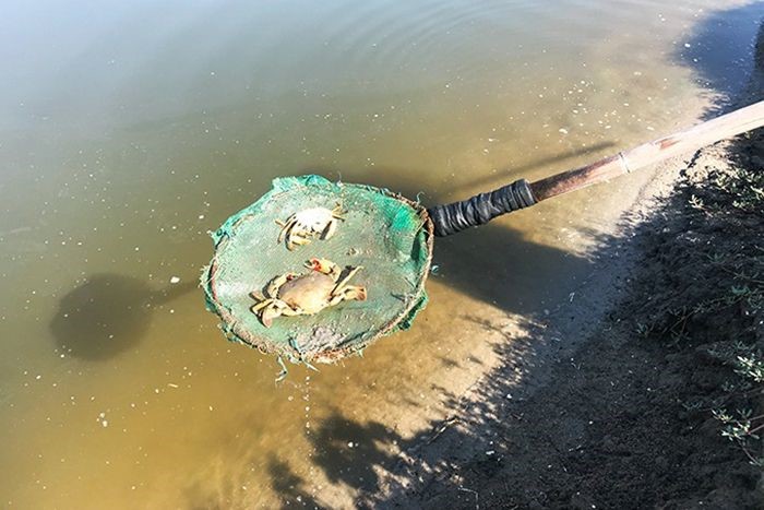 cua-chet-vi-nang-nong