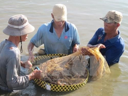 dam-bao-an-toan-nguyen-lieu-tom