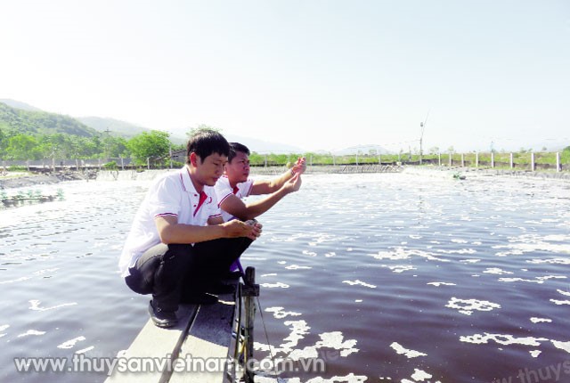 danh-gia-va-theo-doi-suc-khoe-tom-nuoi-02