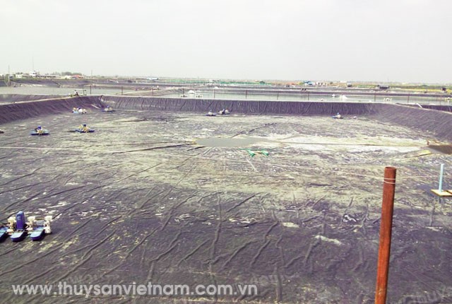 danh-gia-viec-lot-bat-ao-tom-02