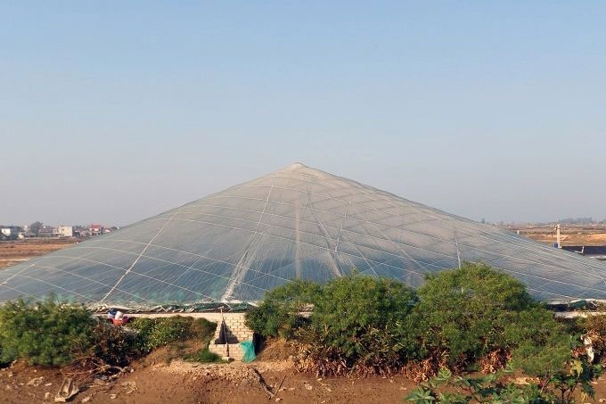 dau-tu-nha-mang-chu-dong-tha-nuoi