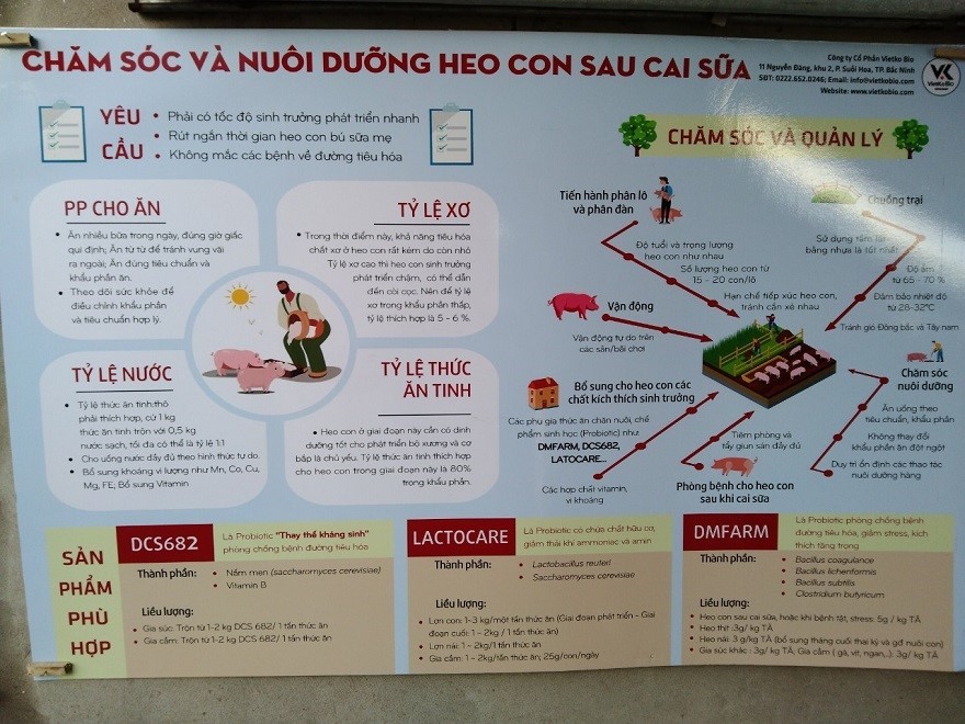 den-tham-trang-trai-lon-anh-long-bac-ninh (11)