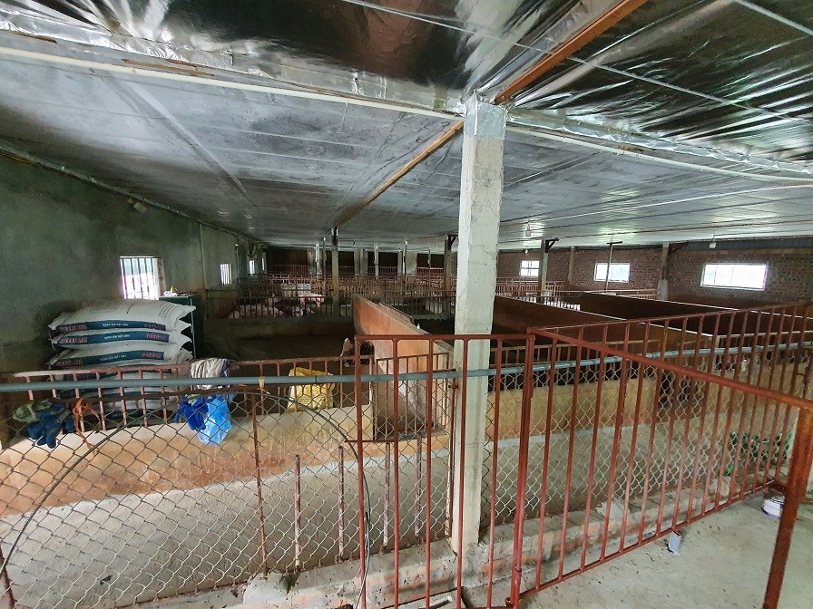 den-tham-trang-trai-lon-anh-long-bac-ninh (5)