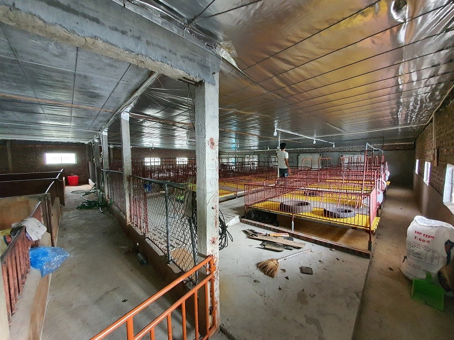 den-tham-trang-trai-lon-anh-long-bac-ninh (6)