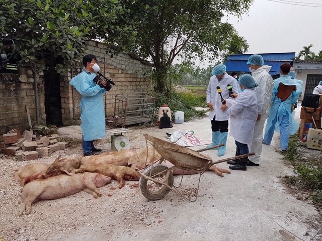 dich-ta-lon-115508_435_2