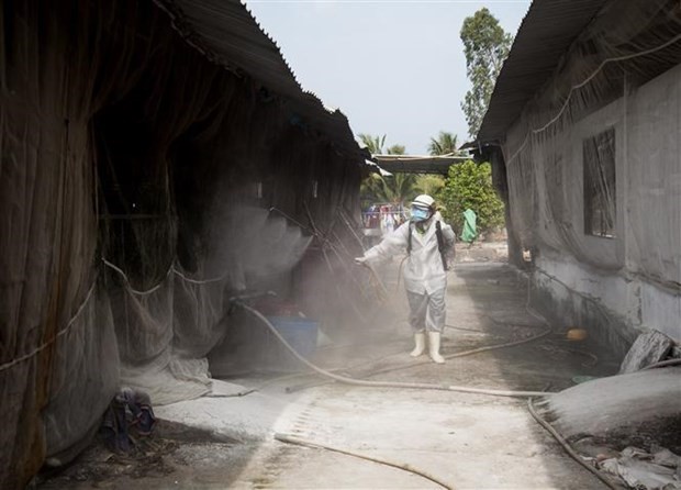 dich_ta_lon_chau_phi