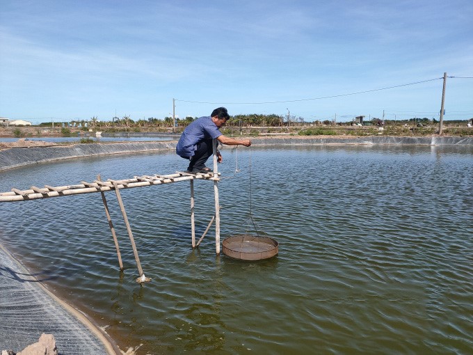 dien-tich-nuoi-tom-nuoc-lo