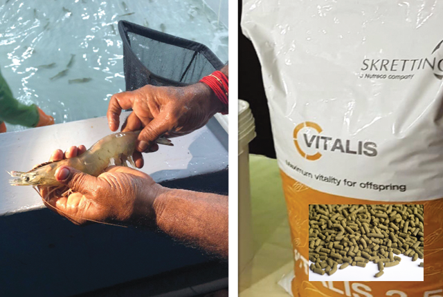 dinh-duong-tom-bo-me-03