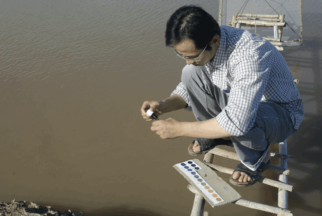 do-duc-nuoc-ao-tom-01