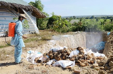 dot-pha-thu-2-trong-chan-nuoi-gia-cam-cong-nghe-vaccine-tu-phap-kiem-soat-toi-uu-cum-gia-cam-cho-nguoi-chan-nuoi-viet