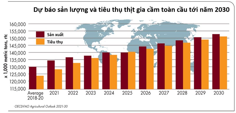 du-bao-gia-cam-toan-cau-2030