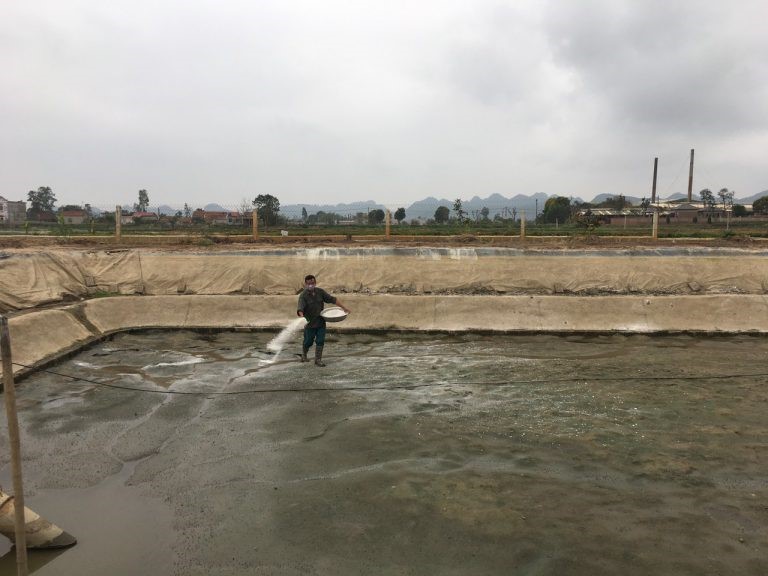 e23e85bbd17f22217b6e-768x576