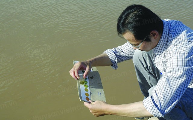 gay-mau-nuoc-ao-nuoi-tom