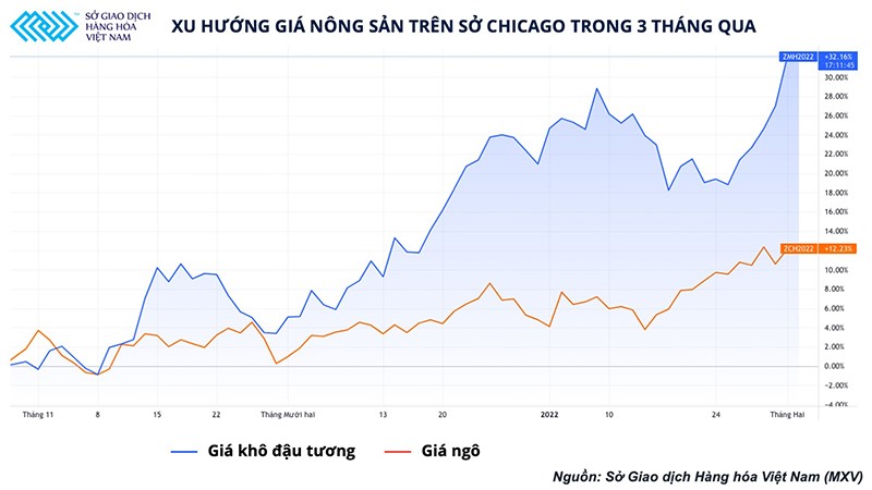 gia nong san chicago