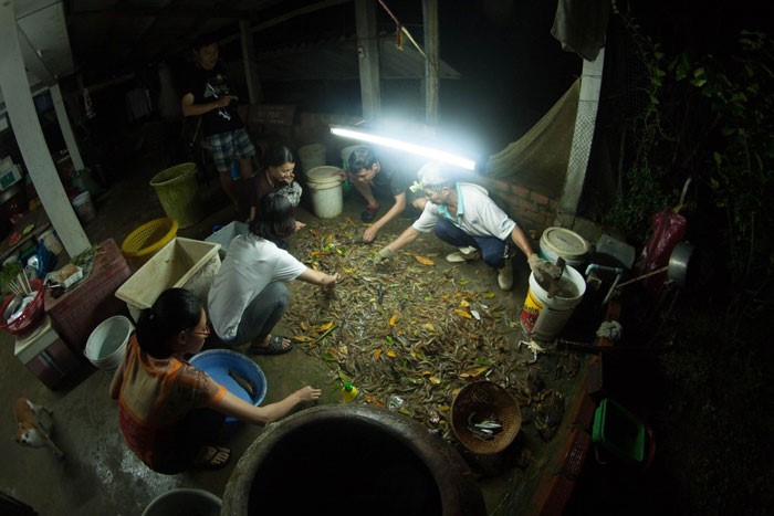 gia-dinh-a-Thanh-thu-hoach-tom