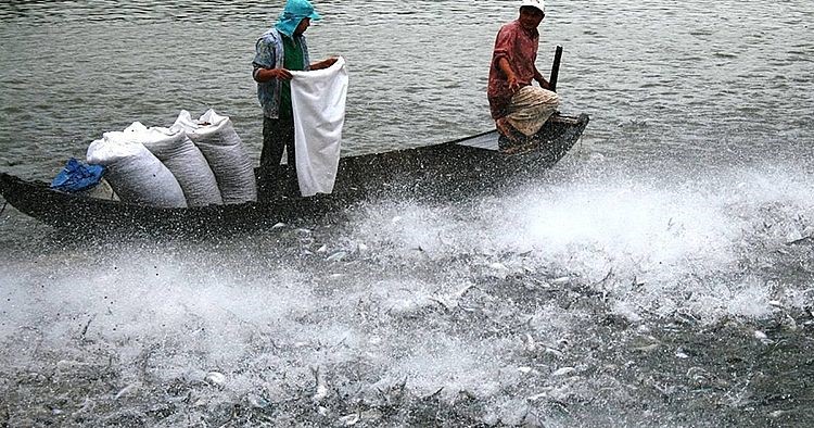 gia-thuc-an-thuy-san-tang