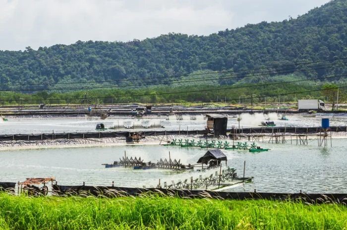 giai-phap-bo-sung-vi-tao