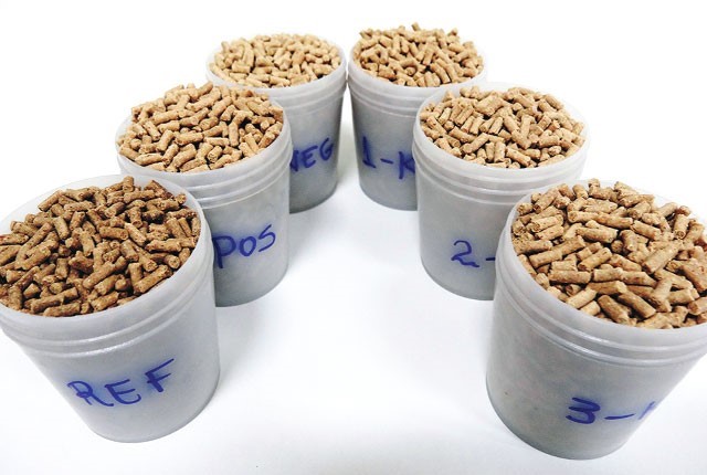 giai-phap-thay-the-hieu-qua-bot-ca-01