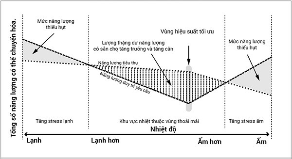 giam-stress-trong-chan-nuoi-ga-2